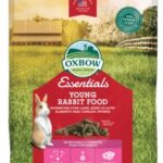NEW Essentials Young Rabbit