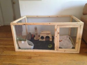 Image result for diy indoor rabbit cage